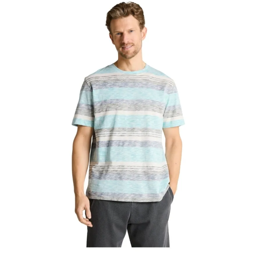 Camisetas manga corta Tom tailor Inside Printed Stripe T-Shirt