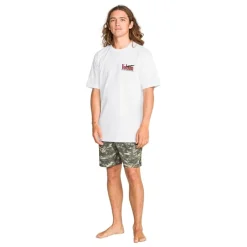 Camisetas manga corta Volcom Stoney Mountain Sst