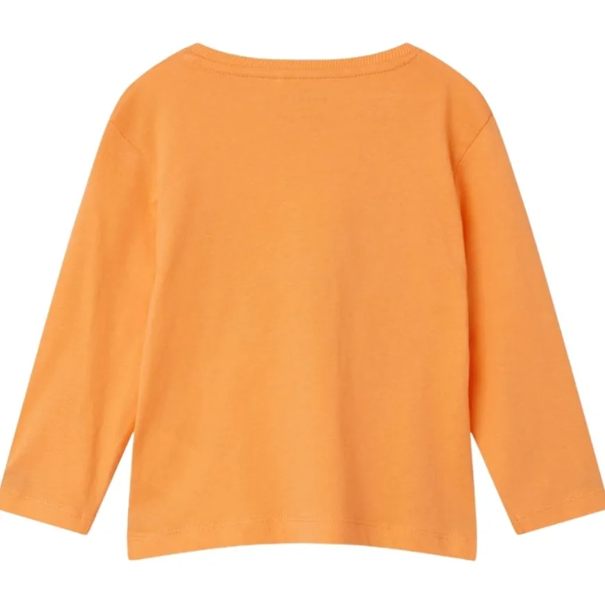 Camisetas manga larga Name-it Nmfvix Ls Top