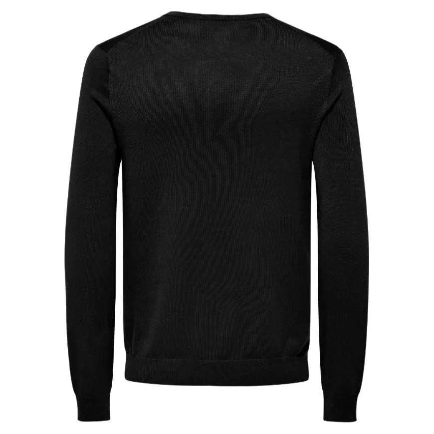 Camisetas manga larga Only & sons Onswyler Life Reg 14 Ls V-Neck Knit
