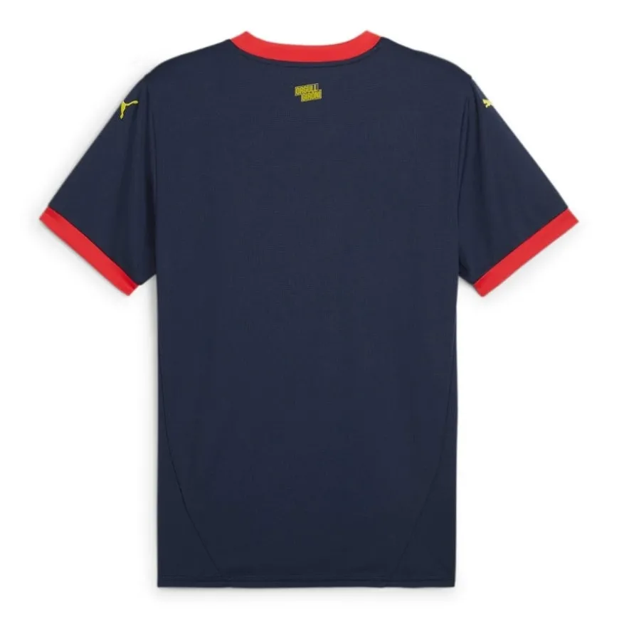 Camisetas oficiales fútbol Puma Girona FC Equipación