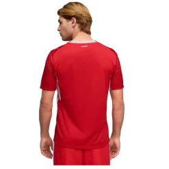 Camisetas oficiales fútbol Puma Suiza 1ª Equipación