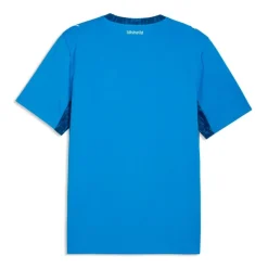 Camisetas oficiales fútbol Puma Islandia 1ª Equipación