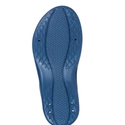 Chanclas Arena Hydrosoft Ii Hook