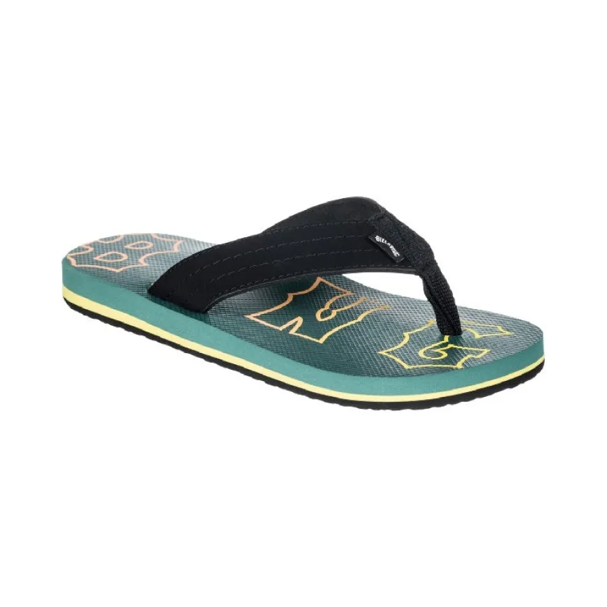 Chanclas Billabong All Day Theme Boy