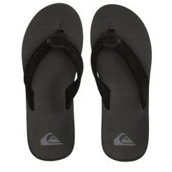 Chanclas Quiksilver Carver Suede Core
