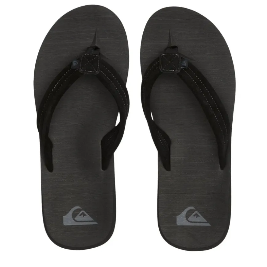 Chanclas Quiksilver Carver Suede Core
