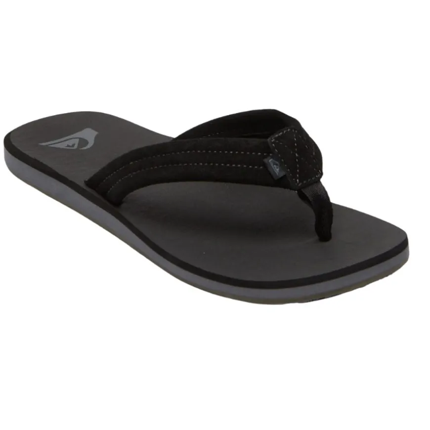 Chanclas Quiksilver Carver Suede Core