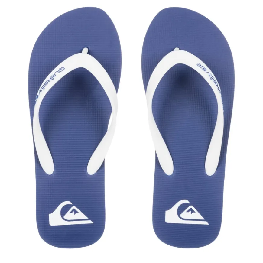 Chanclas Quiksilver Molokai Core