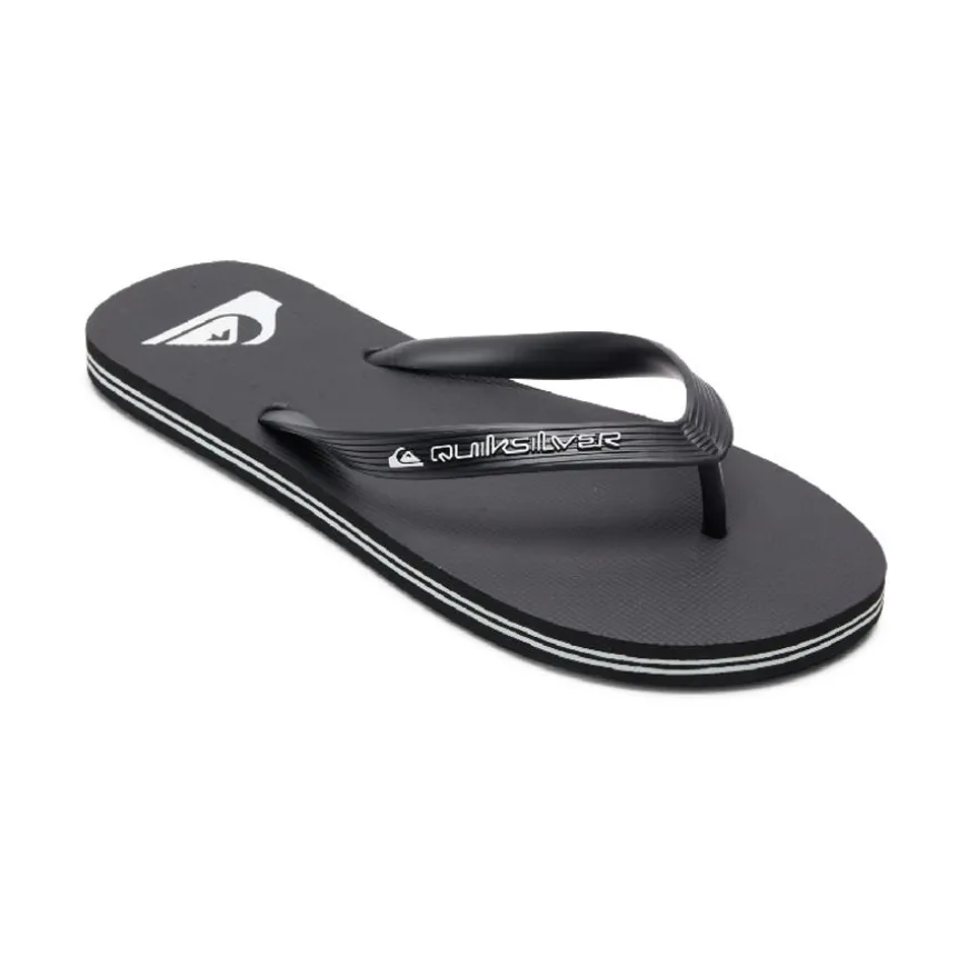 Chanclas Quiksilver Molokai Core