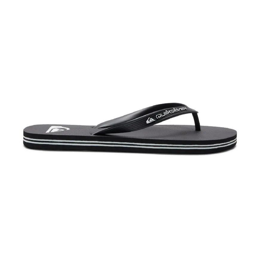 Chanclas Quiksilver Molokai Core