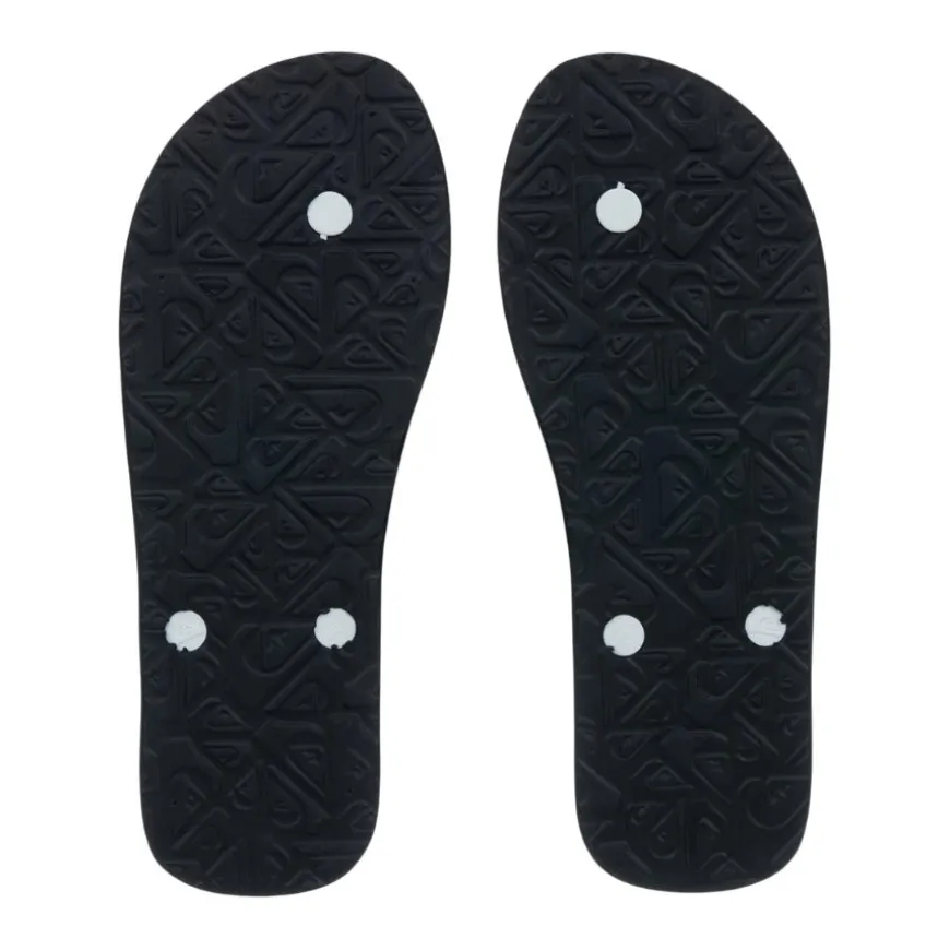 Chanclas Quiksilver Molokai Core