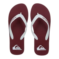 Chanclas Quiksilver Molokai Core