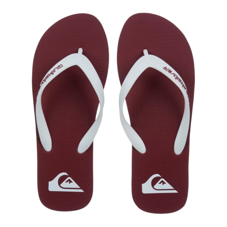 Chanclas Quiksilver Molokai Core