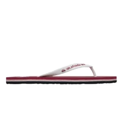 Chanclas Quiksilver Molokai Core