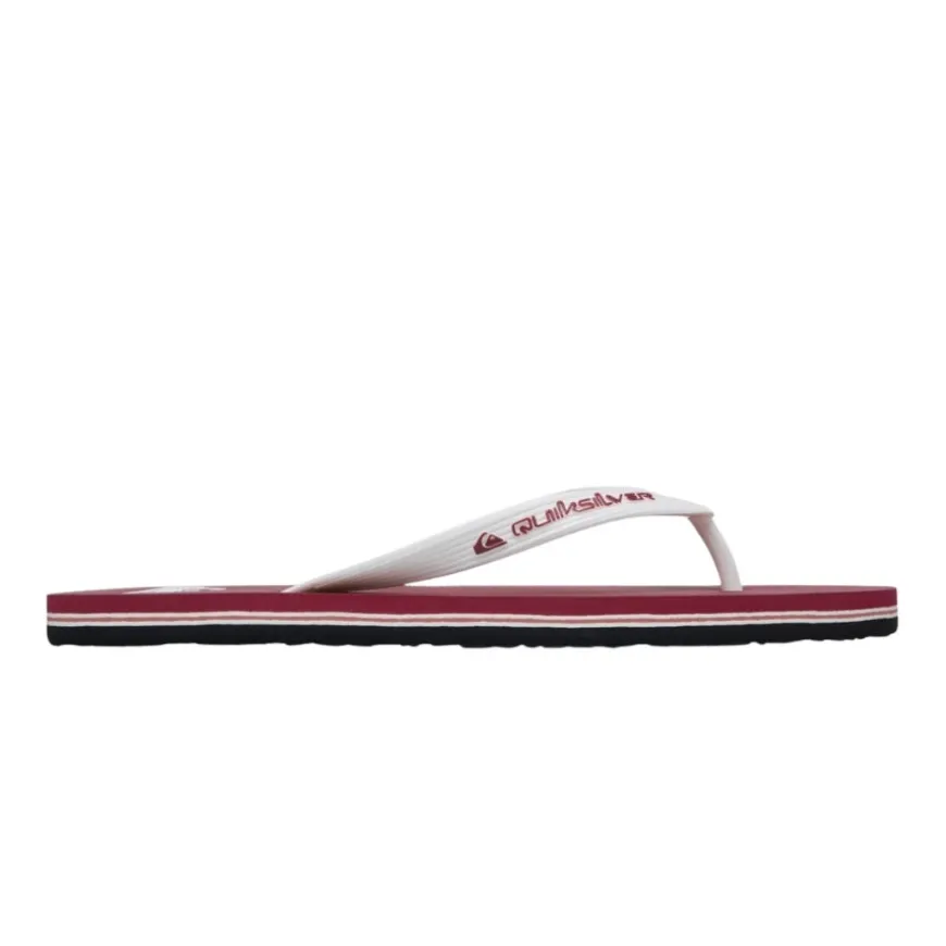 Chanclas Quiksilver Molokai Core