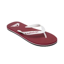 Chanclas Quiksilver Molokai Core