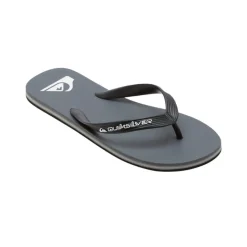 Chanclas Quiksilver Molokai Core