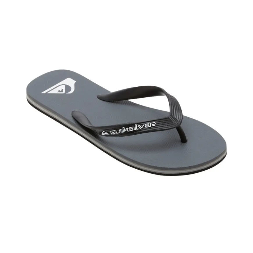 Chanclas Quiksilver Molokai Core