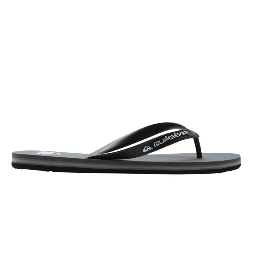 Chanclas Quiksilver Molokai Core