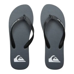 Chanclas Quiksilver Molokai Core