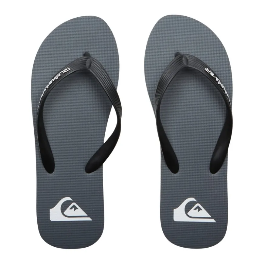 Chanclas Quiksilver Molokai Core