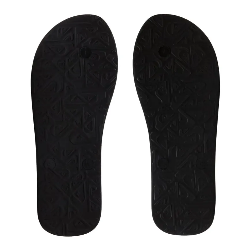 Chanclas Quiksilver Molokai Core