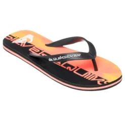 Chanclas Quiksilver Molokai Art 25