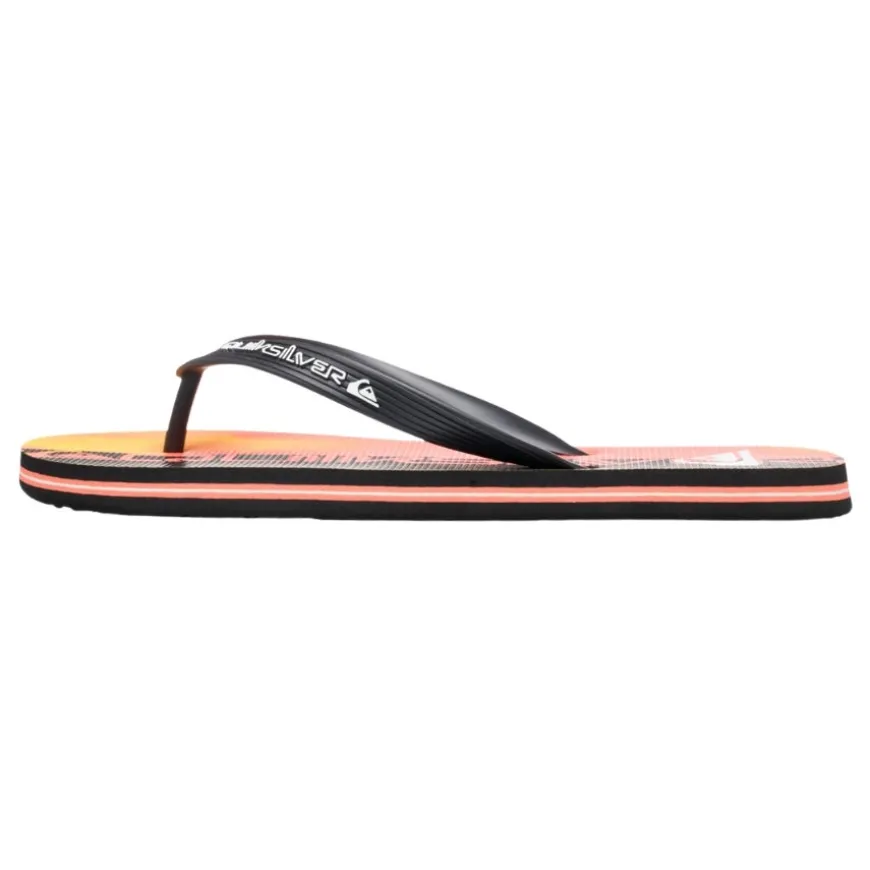 Chanclas Quiksilver Molokai Art 25