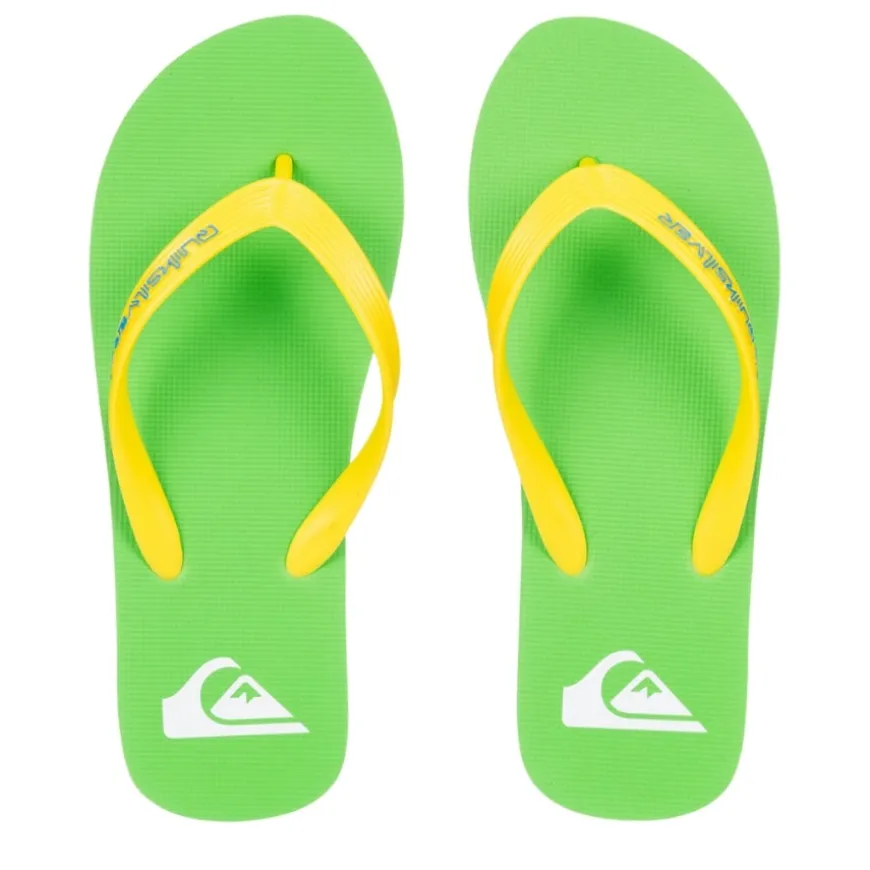 Chanclas Quiksilver Molokai Core