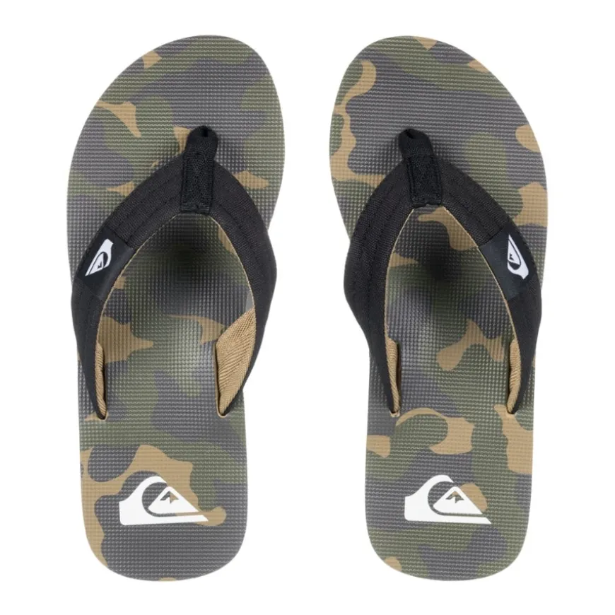 Chanclas Quiksilver Molokai Layback Ii