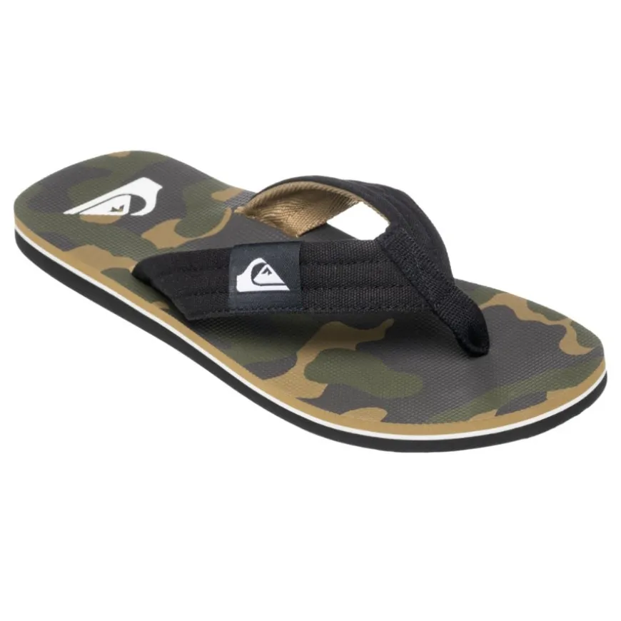 Chanclas Quiksilver Molokai Layback Ii