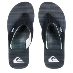 Chanclas Quiksilver Molokai Layback Ii