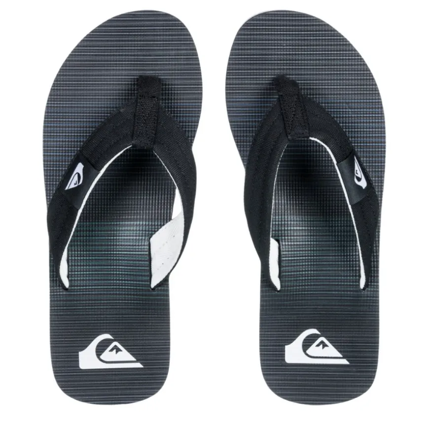 Chanclas Quiksilver Molokai Layback Ii