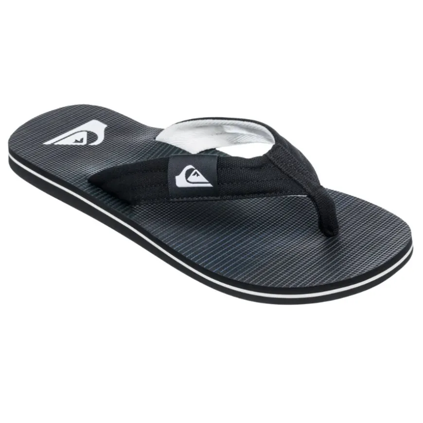 Chanclas Quiksilver Molokai Layback Ii