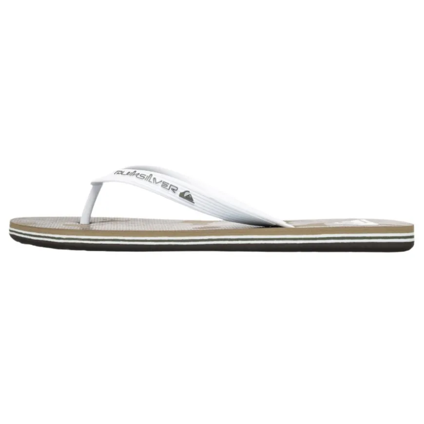 Chanclas Quiksilver Molokai Art 25