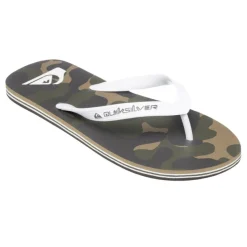 Chanclas Quiksilver Molokai Art 25