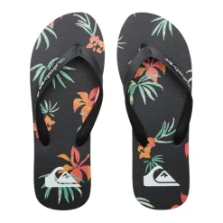 Chanclas Quiksilver Molokai Art Ii