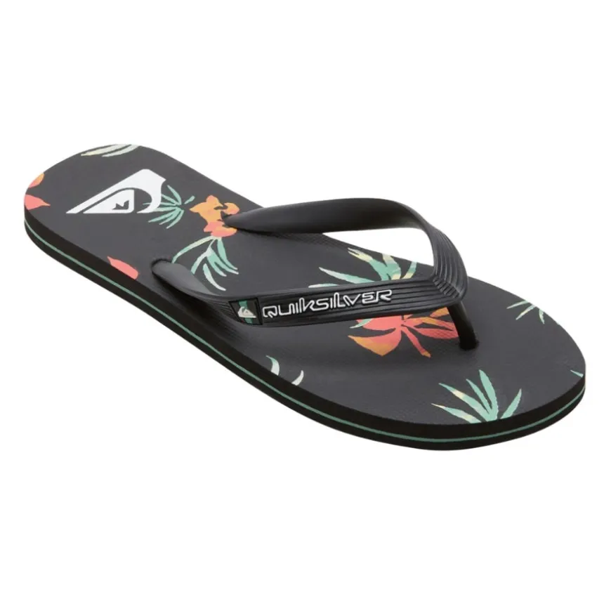 Chanclas Quiksilver Molokai Art Ii
