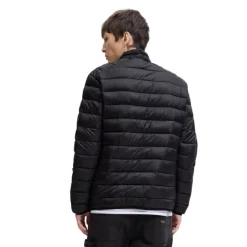 Chaquetas Jack & jones Jjebradley Light Puffer Collar Noos