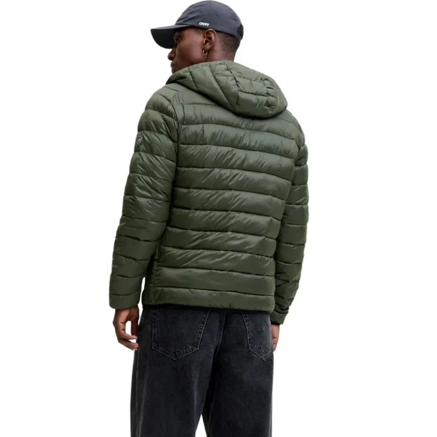 Chaquetas Jack & jones Jjebradley Light Puffer Hood Noos