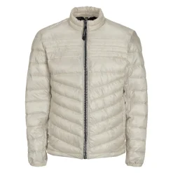 Chaquetas Jack & jones Jjehero Puffer Collar Noos
