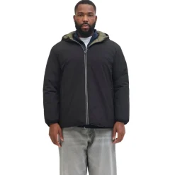 Chaquetas Jack & jones plus Jjebrandon Transitional Jacket Sn Pls