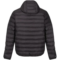 Chaquetas Regatta Hooded Marizion