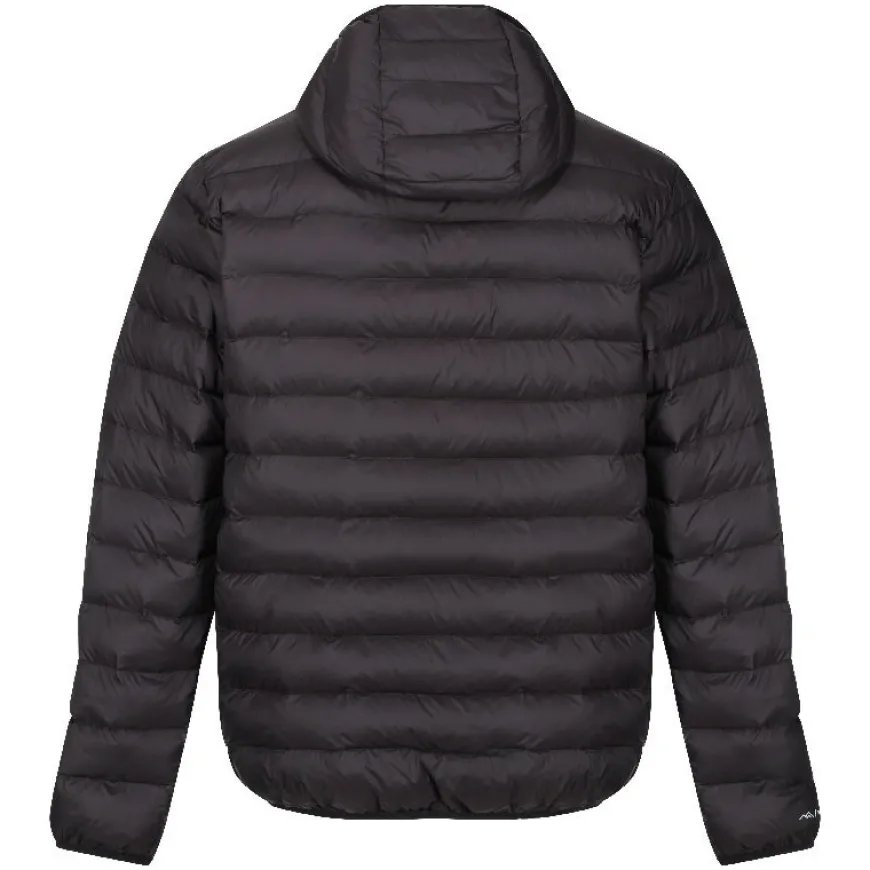 Chaquetas Regatta Hooded Marizion