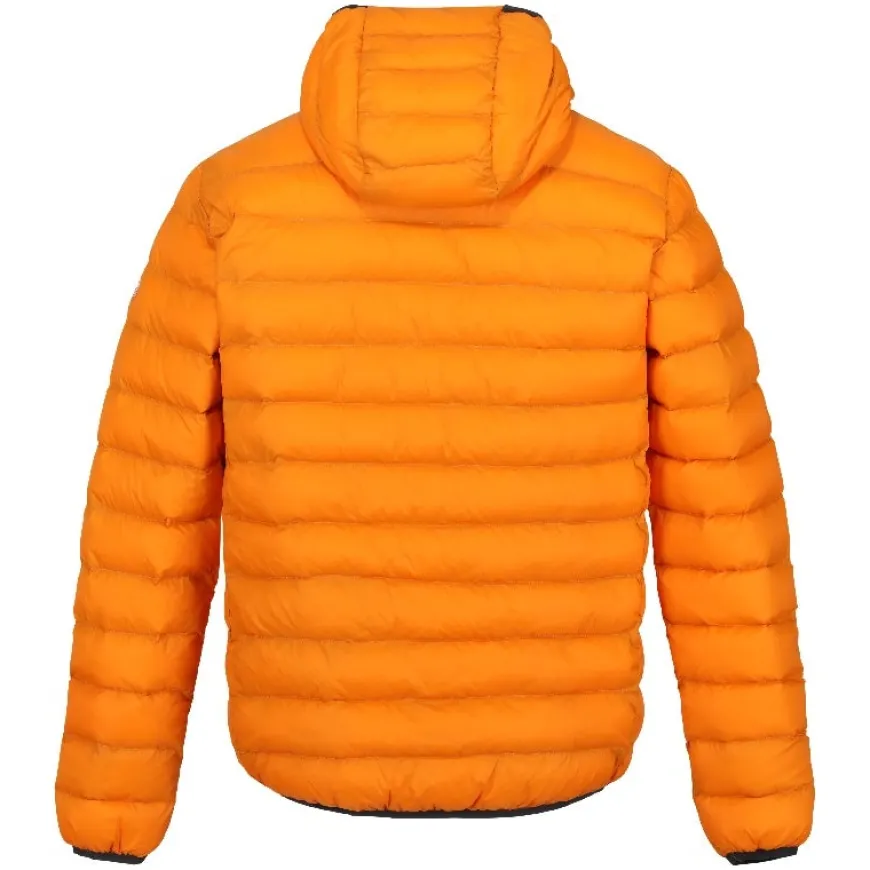 Chaquetas Regatta Hooded Marizion