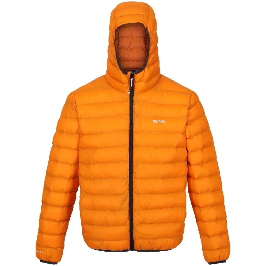 Chaquetas Regatta Hooded Marizion