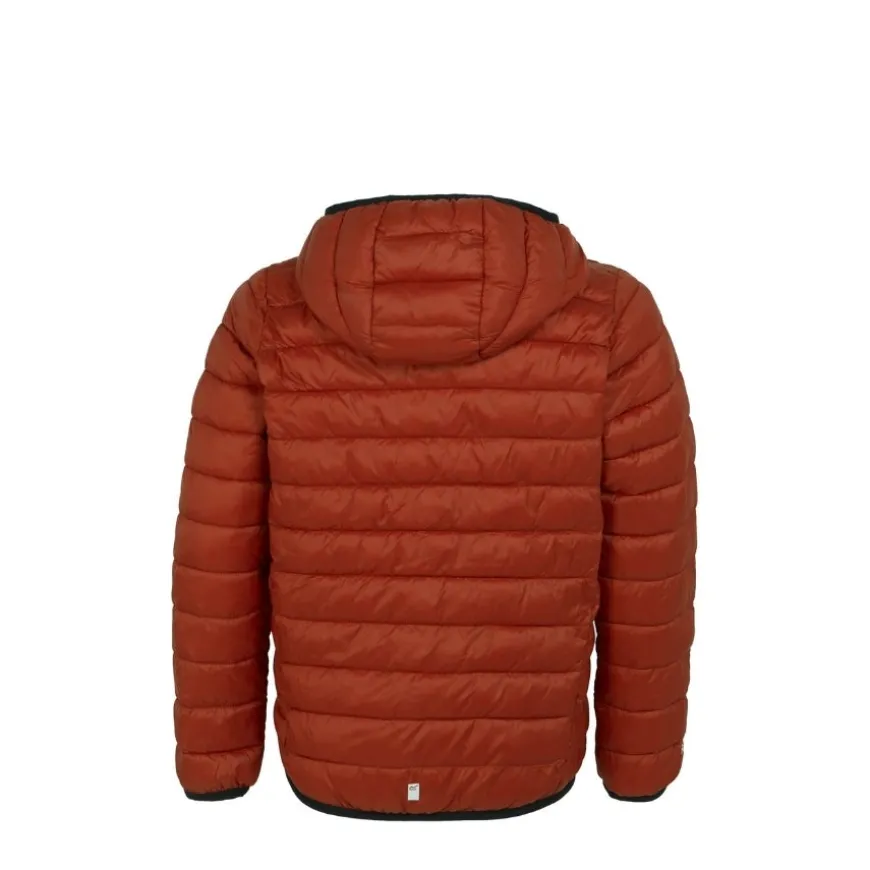 Chaquetas Regatta JnrHoodedMarizion