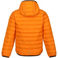 Chaquetas Regatta JnrHoodedMarizion