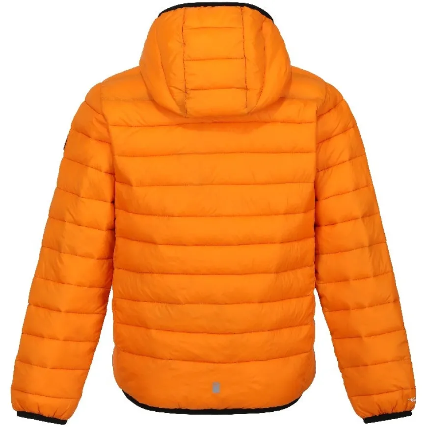 Chaquetas Regatta JnrHoodedMarizion